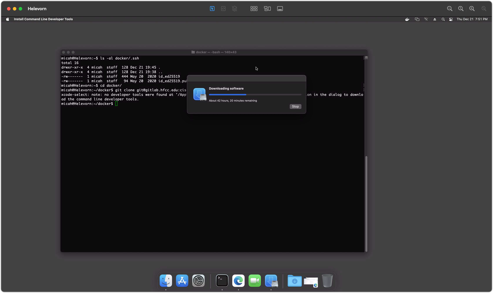 screenshot of directory structure and git installation