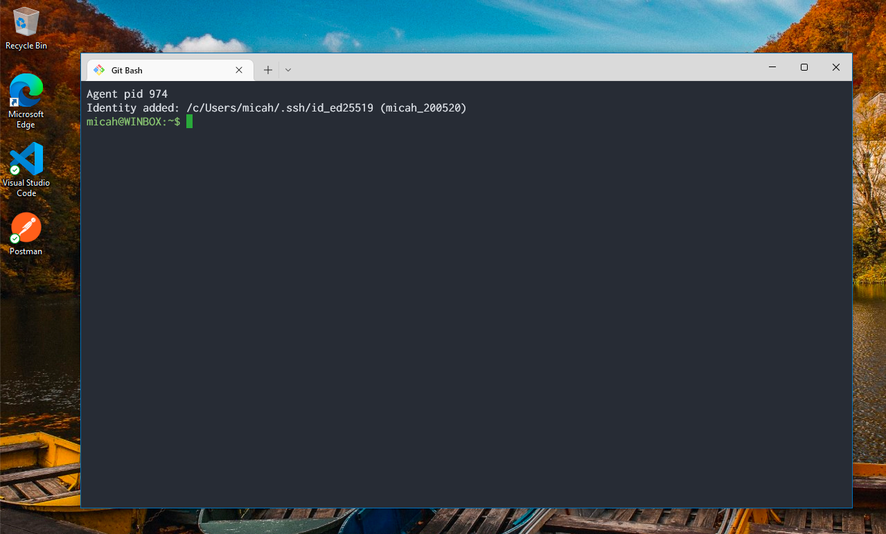 Git Bash in Windows Terminal